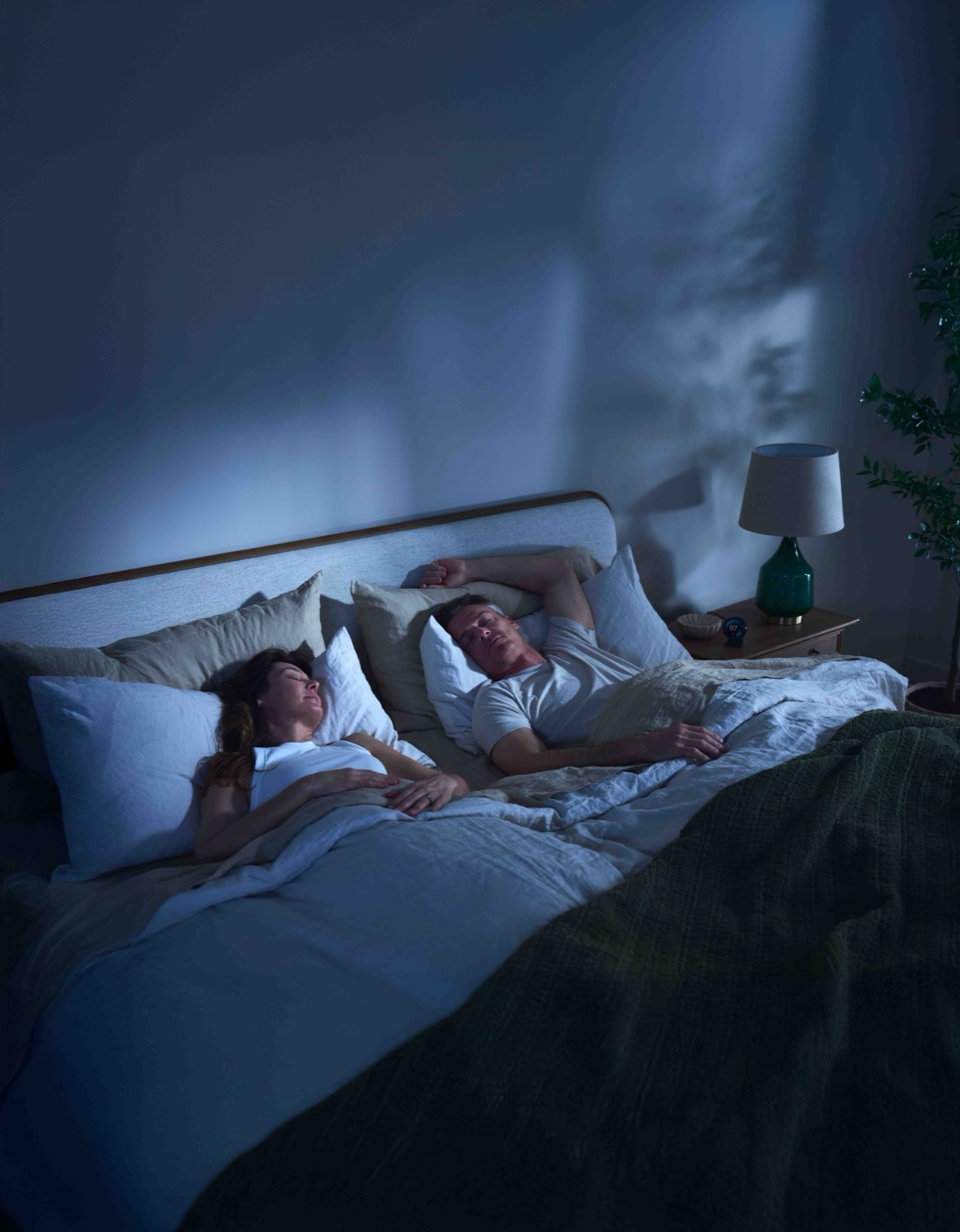 A couple sleeps peacefully in cool moonlit tones.